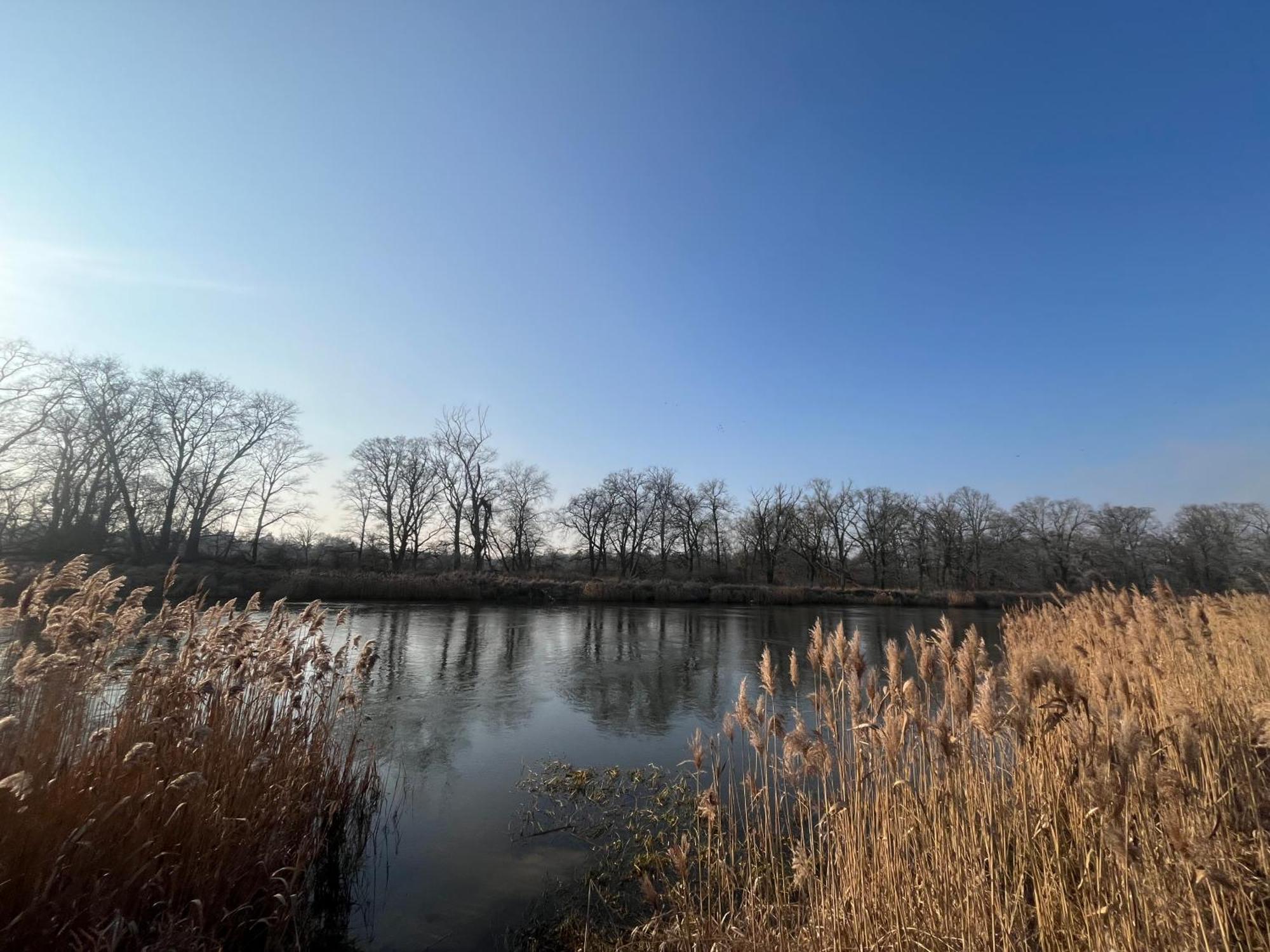 Dworek Biesiadny Radzewice Экстерьер фото